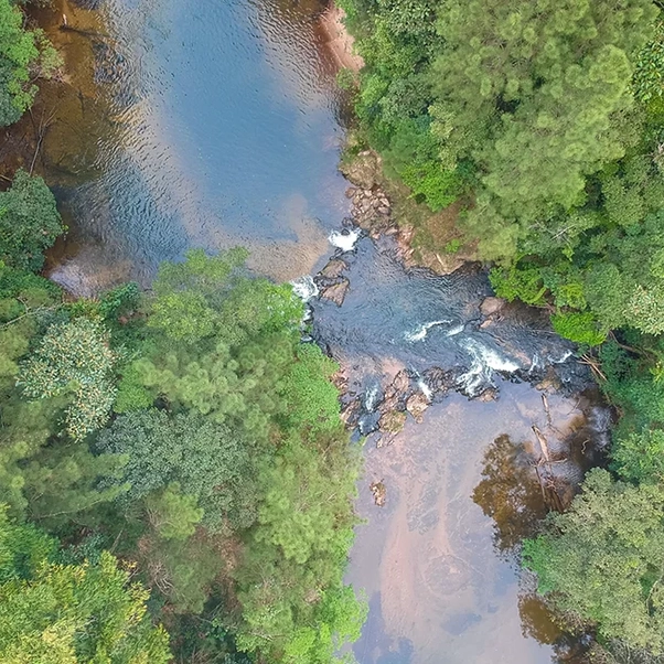 overhead view of stream and rapids
